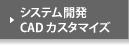 システム開発